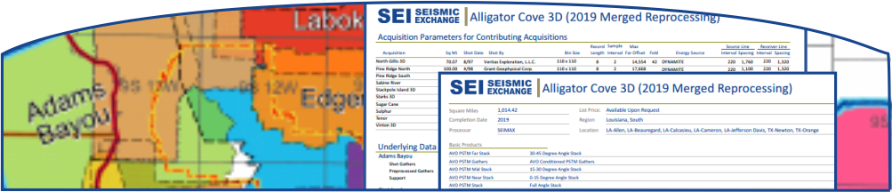 Header image of sample SEI survey documents